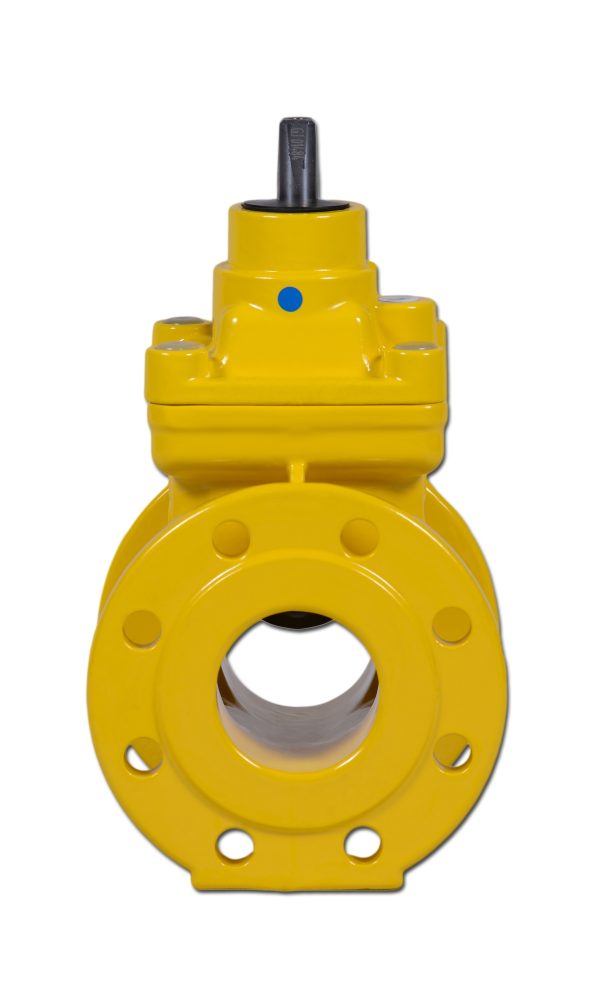 GASSCHIEBER OPTIVALVE™ FLANSCH F4 DN40-300