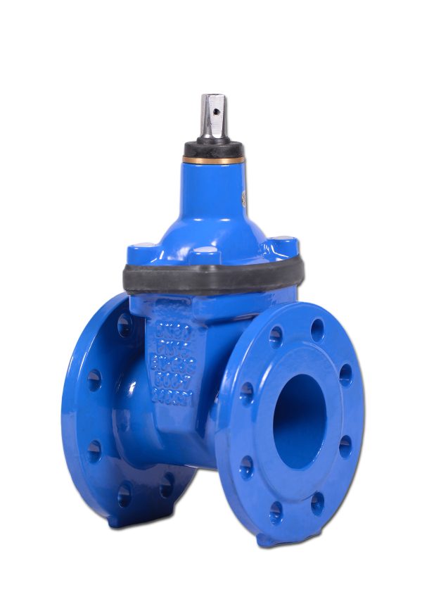 WASSERSCHIEBER ECOVALVE™ F4 KURZ (EPDM) DN40-300