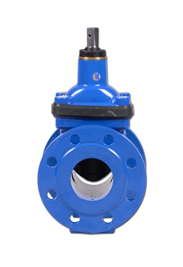 WASSERSCHIEBER ECOVALVE™ F4 KURZ (EPDM) DN40-300