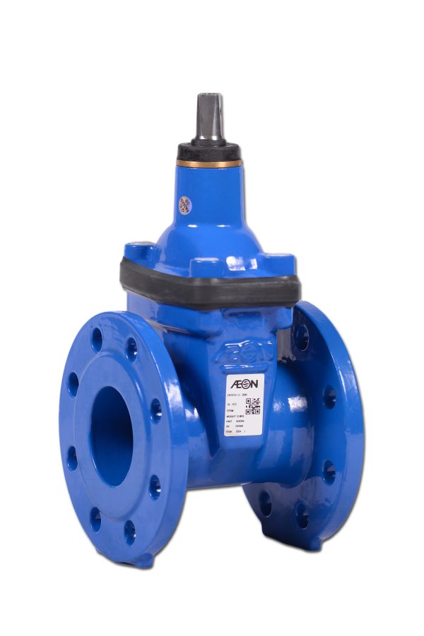 WASSERSCHIEBER ECOVALVE™ F4 KURZ (EPDM) DN40-300